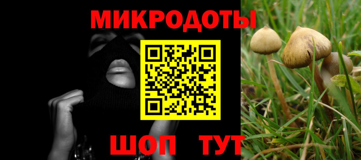 Обнинск  Галлюциногенные грибы Cubensis  Вход с VPN 
