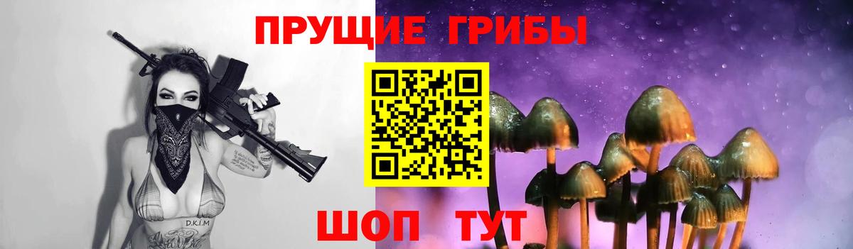 Псилоцибиновые грибы мицелий Обнинск
